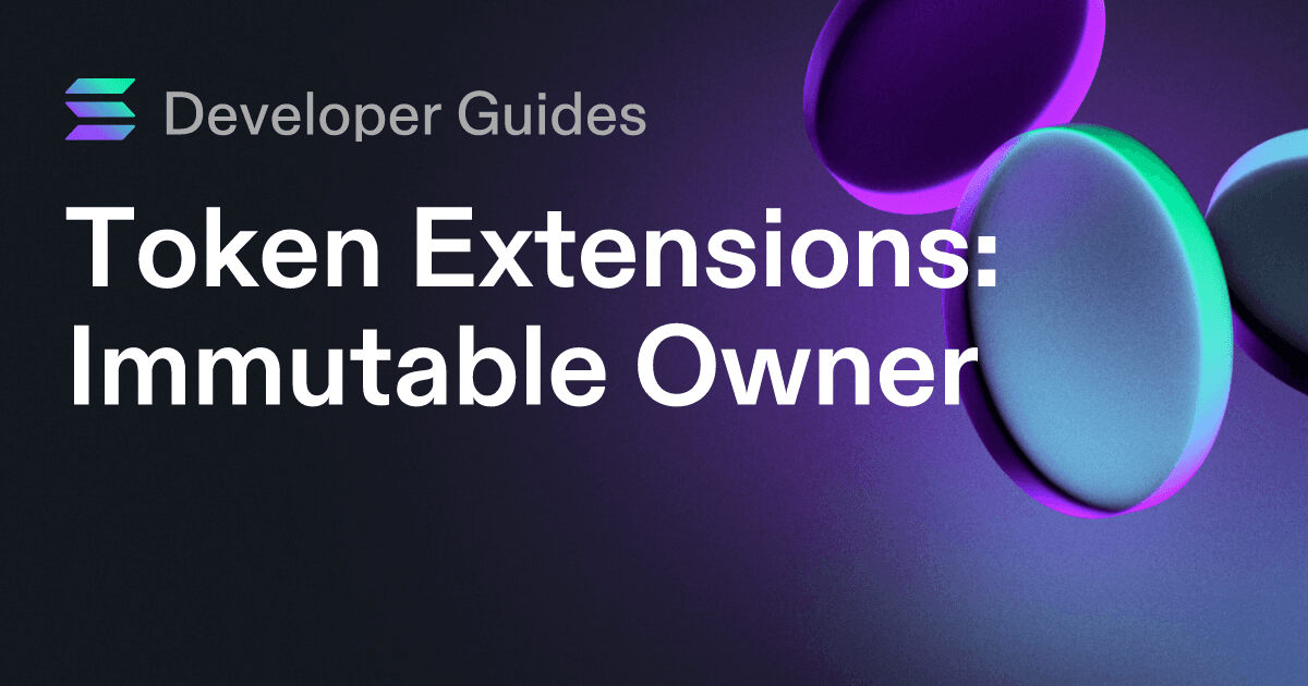 How to use the Immutable Owner extension